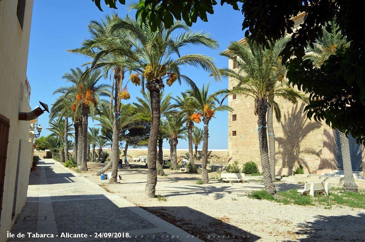 21 ALICANTE L ILE DE TABARCA (103).JPG
